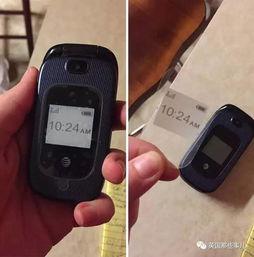 谢谢祖母手机在线观看